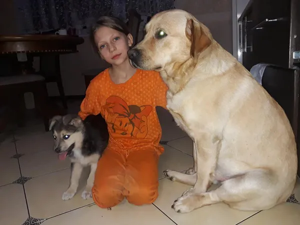 Прихистили цуценят, яких біля Луцька нелюди залишили у ямі