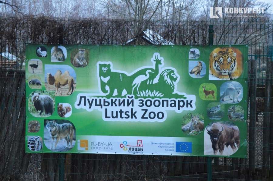 Директорка «Луцького зоопарку»: «З острахом чекаємо на зиму»