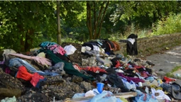 Біля Палацу учнівської молоді у Луцьку гори сміття (фото)