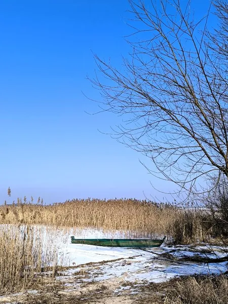 Трава на берегах і крига на воді: на Світязі зима зустрічає весну (фото)