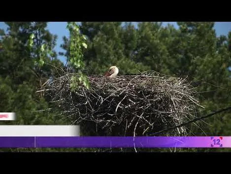 На Волині планують збудувати монастир біля цілющого джерела
