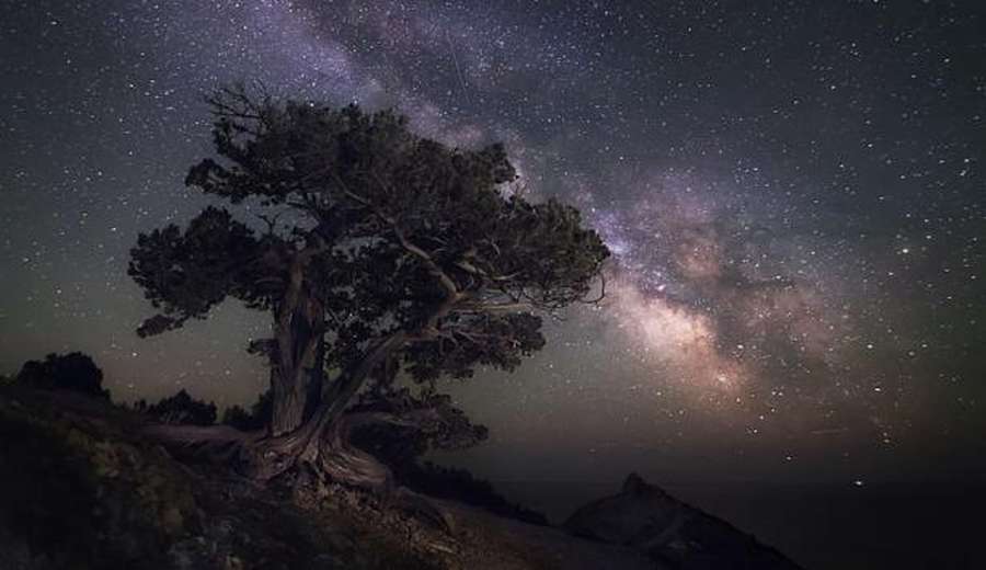 ТОП-16 надзвичайних фотографій конкурсу «Вікі любить Землю 2019»