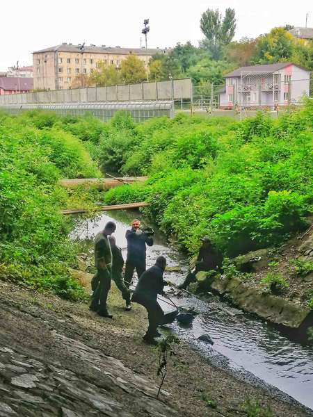 Всесвітній день прибирання: небайдужі волиняни розчищали Сапалаївку (фото)