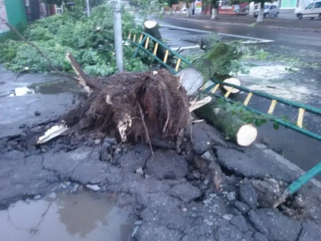 Що наробила негода в Луцьку  (фото, відео)