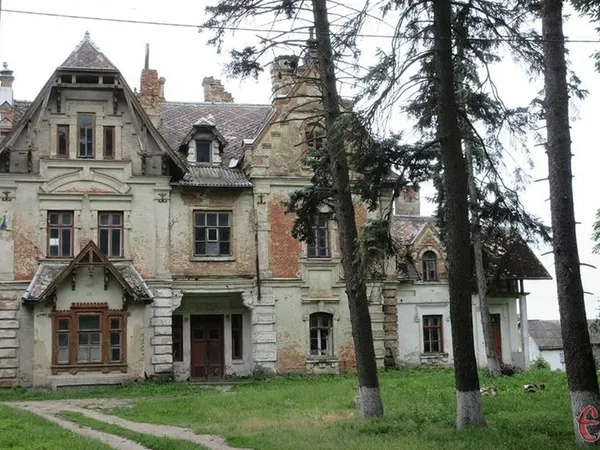 Наче у Діснеї: де на історичній Волині причаїлося селище із казковими будиночками