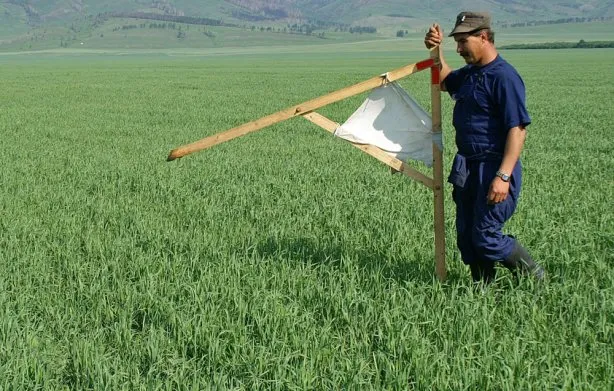 Рада не скасувала мораторій на продаж землі: позиція волинських нардепів 
