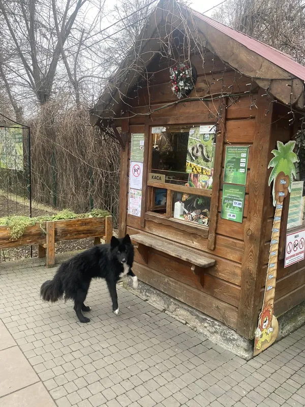 До луцького зоопарку прийшов незвичний відвідувач (фото)