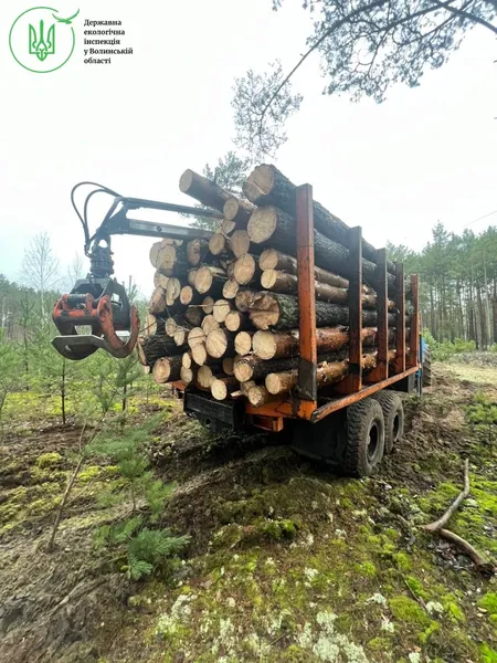 На Волині помітили «нічийний» лісовоз з невідомою деревиною