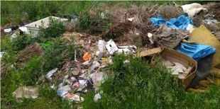 На Волині виявили ще два стихійних сміттєзвалища (фото)