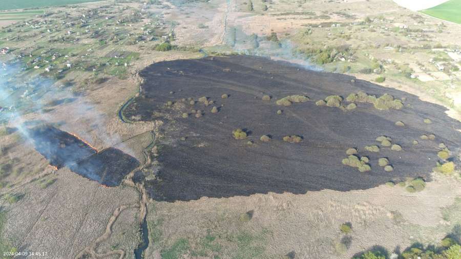 На дачному масиві під Луцьком жінка випадково підпалила поле (фото)