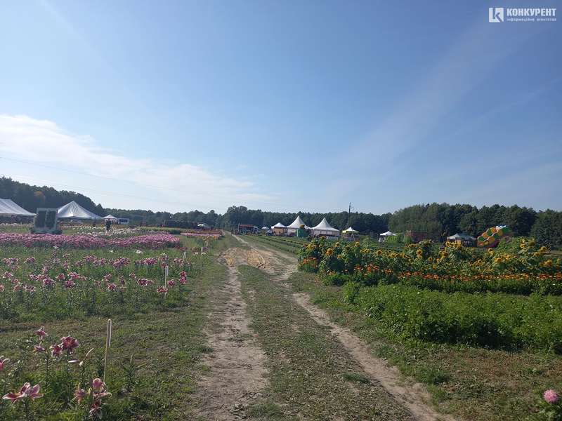 Розпочався фестиваль квітів «Осінь у Волинській Голландії» (фото)