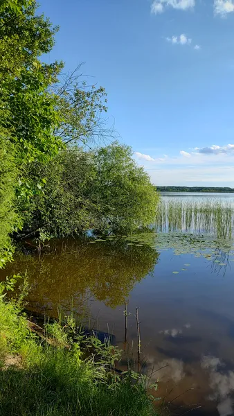Показали красу одного з невеликих озер на Волині (фото)