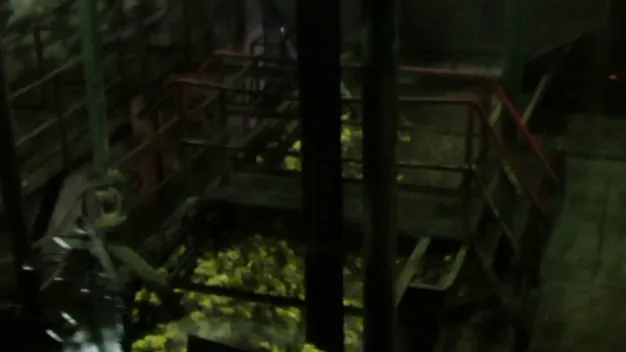 Гнідавський цукровий завод побив рекорд з цукроваріння за 60 років (фото, відео)