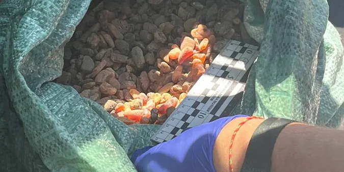 «Везу горіхи для мами»: на Волині в авто знайшли мішок з бурштином (фото)