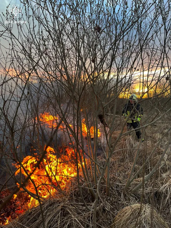 Найбільше – на Ковельщині: на Волині за добу вигоріло понад 7 гектарів (фото)