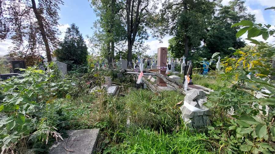 Зруйновані надгробки: у Володимирі сильний вітер повалив дерево на кладовиші (фото)