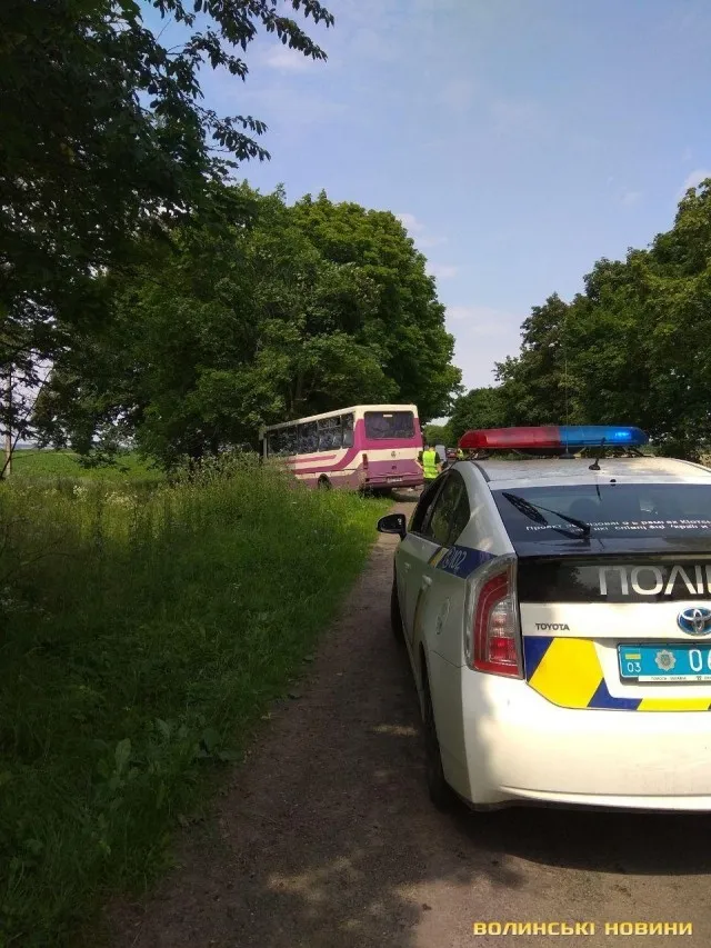 На Волині рейсовий автобус врізався у дерево (фото)