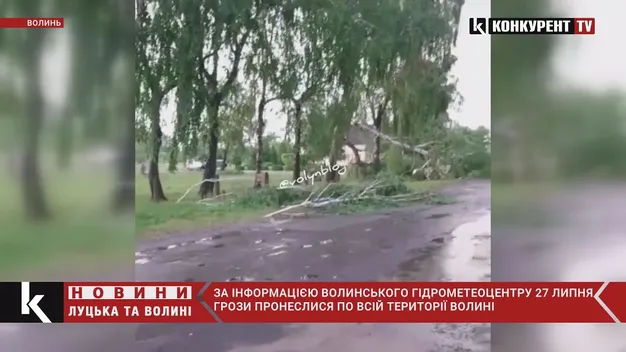 Головне у Луцьку: ТОП новин за середу, 28 липня