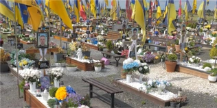 «За три роки не зроблено нічого»: що відбувається на секторі військових поховань у Гаразджі (відео)