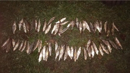 На човні і з сітками: на Ковельщині рибалки завдали збитків на понад 100 тисяч гривень (фото)