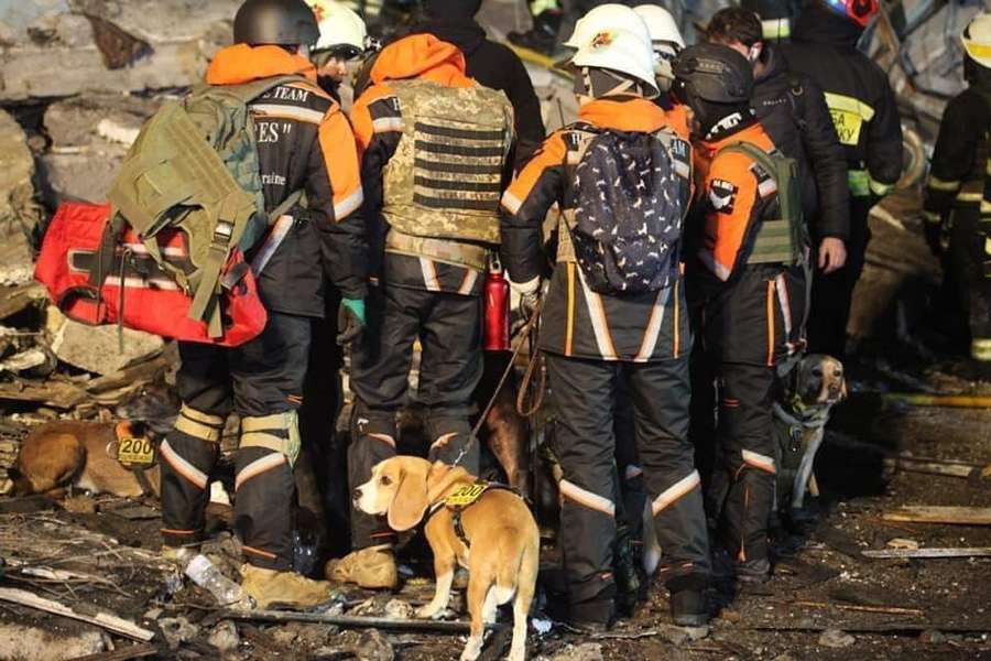 Спеціальний загін «Антарєс»: як собаки у Дніпрі шукають поранених та загиблих під завалами (фото)