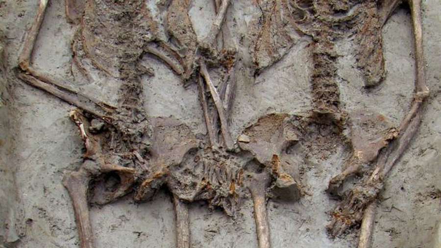 Знайдені археологами скелети «закоханих із Модени» виявилися чоловіками