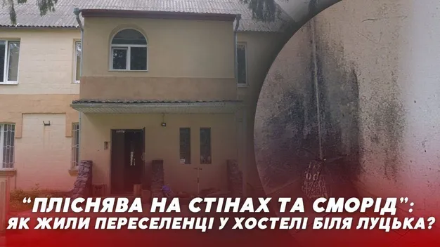 Пліснява на стінах та сморід: як жили переселенці у хостелі біля Луцька (відео)