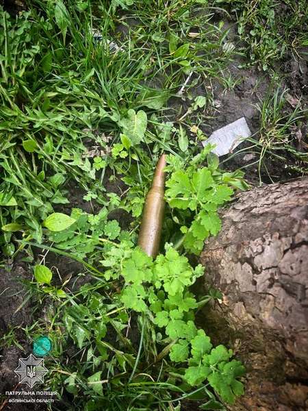 У Луцьку викликали поліцію через знайдений біля смітника патрон (фото)