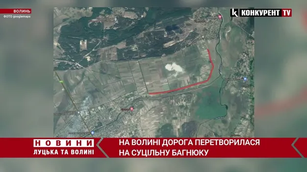 Суцільна багнюка: показали, на що перетворилася дорога на Ратнівщині (відео)