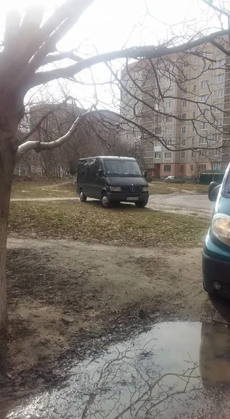 Авто купили, а паркуватись не  навчились: у Луцьку ловили порушників (фото)