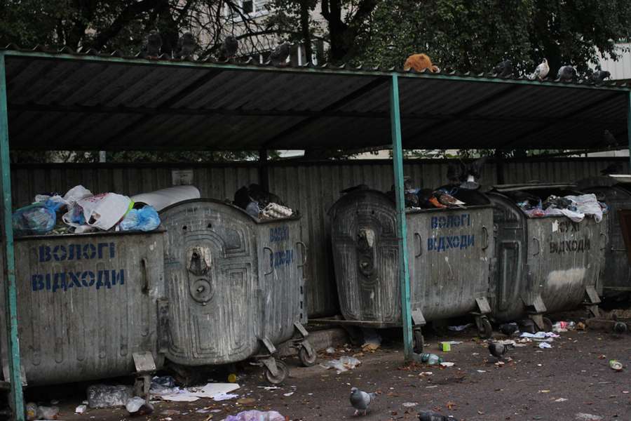 Лучани скаржаться на невивезене сміття (фото)