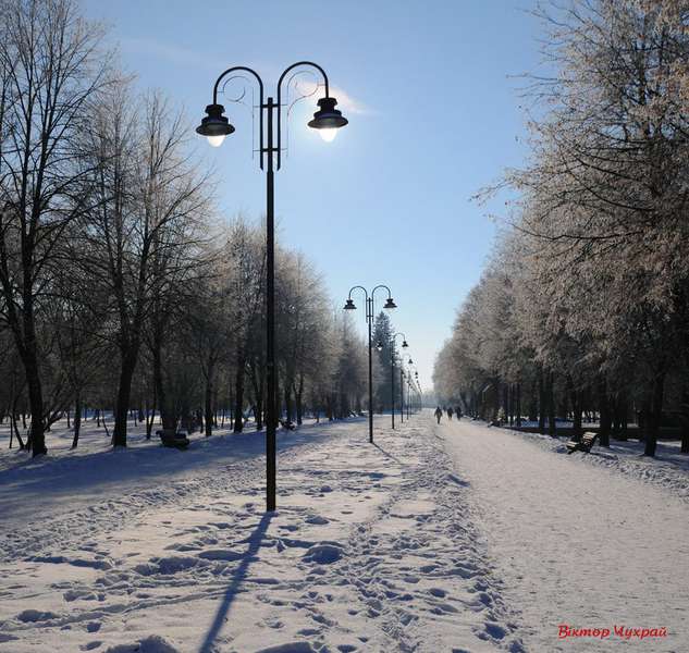 Луцький фотограф показав красу морозного та засніженого міста (фото)