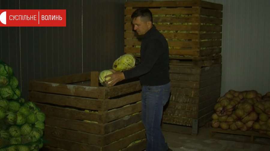 Волинський фермер через карантин утилізував 20 тонн овочів (фото, відео)