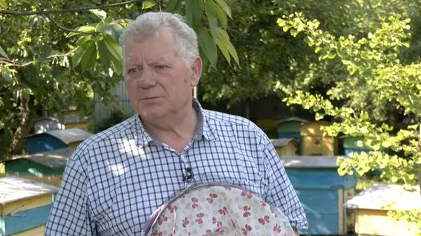 На пасіках Волині – мало меду: що там коїться (відео)