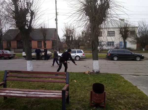 У Старій Вижівці відловили безпритульних собак (фото, відео)
