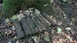 Збирав гриби: у лісі біля Луцька чоловік знайшов шість артснарядів