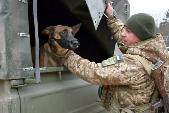На Волині служить кінолог із собакою, який не любить мокрий сніг (фото)