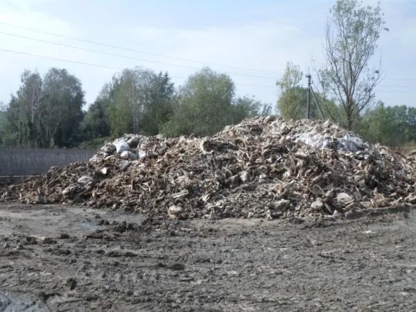 На Волині шукають землю для утилізації відходів із ветсанзаводу