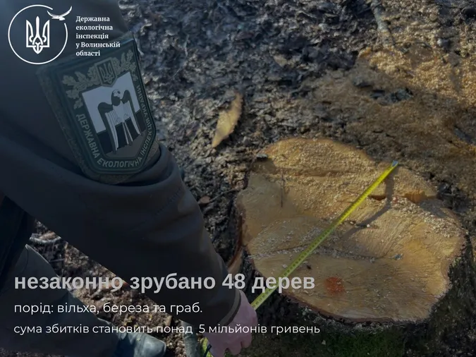 У нацпарку на Волині вирубали дерев на понад 5 млн грн