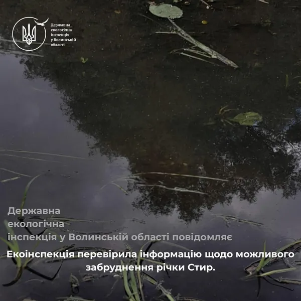 Вода в Стиру раптово стала мутною: що сталося з річкою