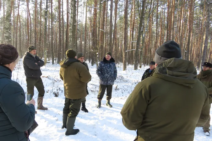 У «Цуманській пущі» порахували зубрів (фото)