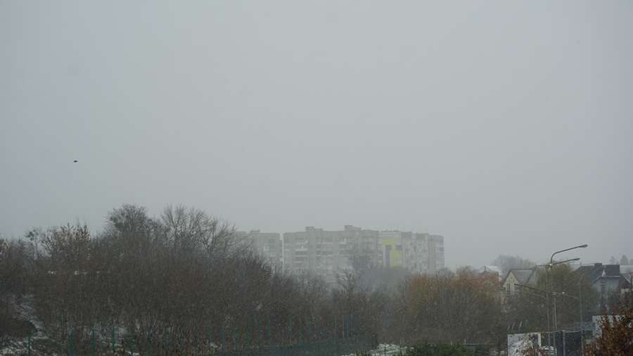 Снігопад у луцькому парку (фото)