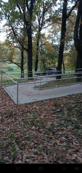 У луцькому парку «Дубки» легковик врізався в дерево (фото, відео)