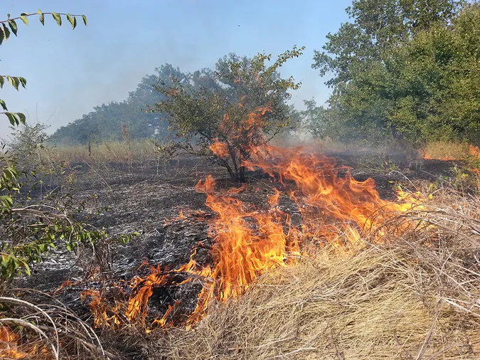 На Волині через паління сухостою та трави загинуло двоє людей (відео)