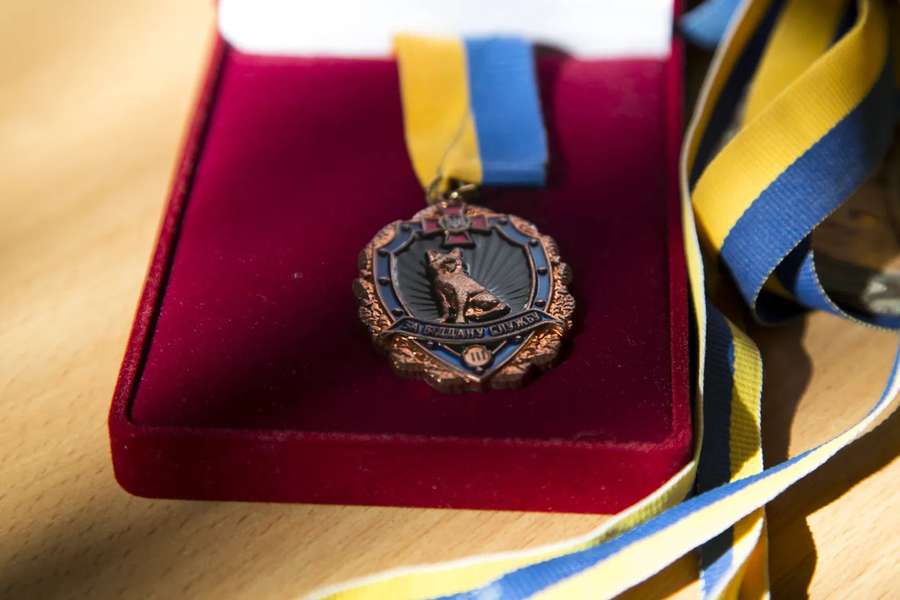 Вівчарку волинських гвардійців нагородили медаллю «За віддану службу» III ступеня (фото)