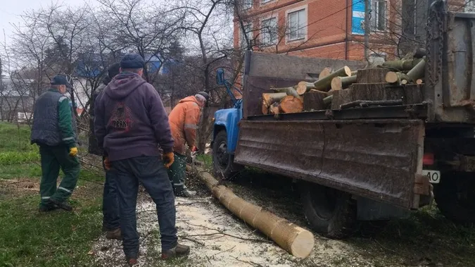 У Луцьку вздовж Сапалаївки чистять берег від зарослів (фото, відео)