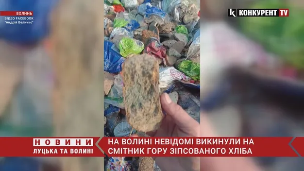 Під Луцьком на смітник викинули гору зіпсованого хліба (відео)
