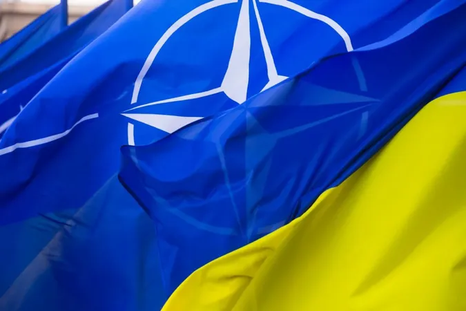 Якщо Україна все ще хоче в НАТО, ми не проти, – посол Угорщини