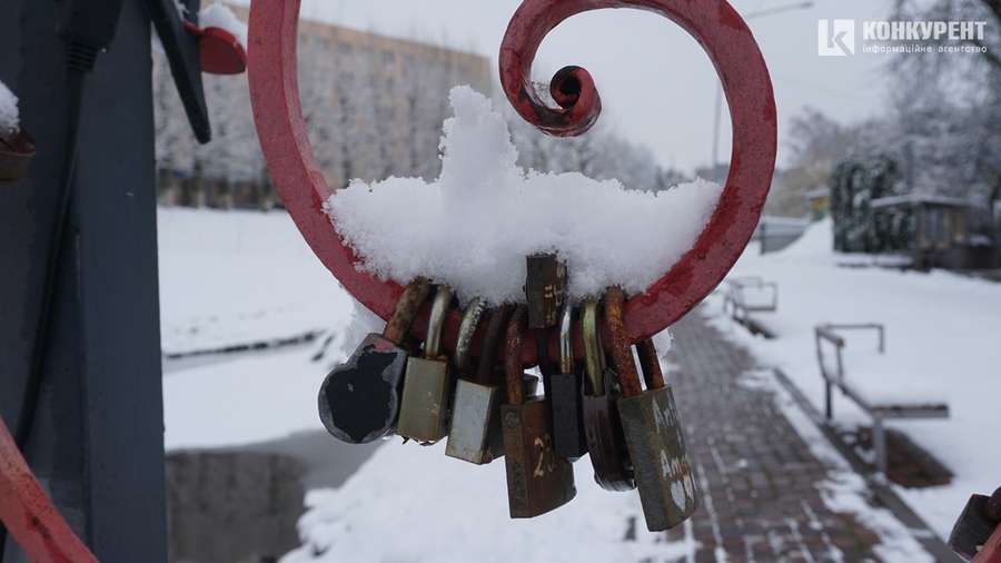 Зимові вайби: луцький парк встелило периною пухнастого снігу (фото)