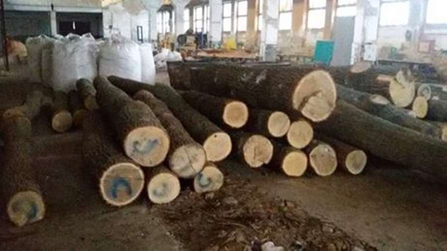 На Волині знайшли незаконної деревини на понад 100 тисяч гривень 